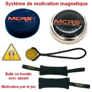 MCRS Magnetisches Motivationssystem