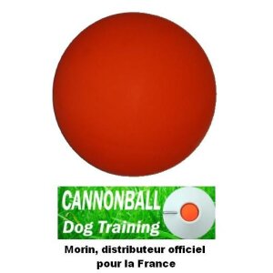 Cannonball Ball Launcher