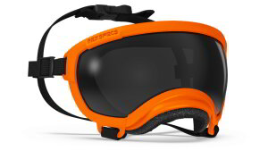 Rex Specs V2 Set Schutzbrille für Hunde, Hundebrille...