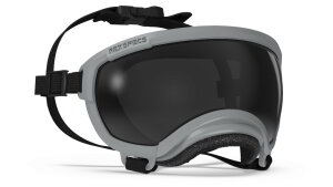 Rex Specs V2 Set Schutzbrille für Hunde, Hundebrille...